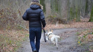 Descubra qual é a melhor coleira para passear com seu cachorrinho - Pixabay/ToNic-Pics