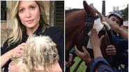Imagens de agressões sofridas pelo animal revoltaram Luisa Mell. - Instagram/@luisamell