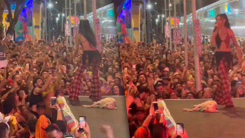 Marina Sena canta no Carnaval de Recife e cachorro dormindo chama a atenção. - Twiiter