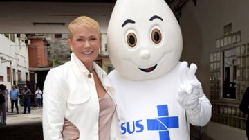 Xuxa será embaixadora da Campanha Nacional de Vacinação - Blad Meneghel/Instagram/@xuxameneghel