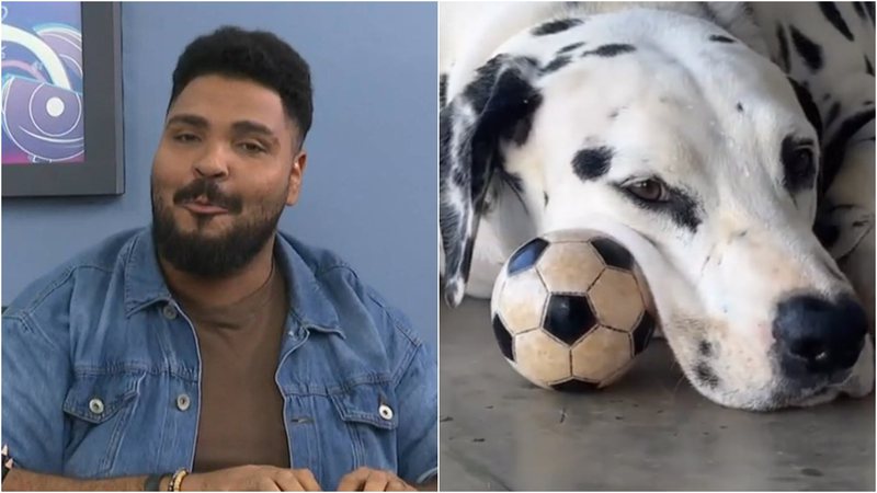 Paulo Vieira rebateu as críticas sobre seu cachorro. - Instagram/@paulovieira.oficial