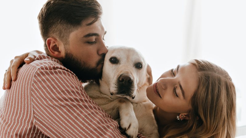 O candidato precisar deixar a sua vida pessoal de lado para cuidar dos pets da família. - Freepik/@lookstudio