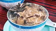 A sopa de cobra é um prato popular na China - Foto: Rafael Tonon/UOL