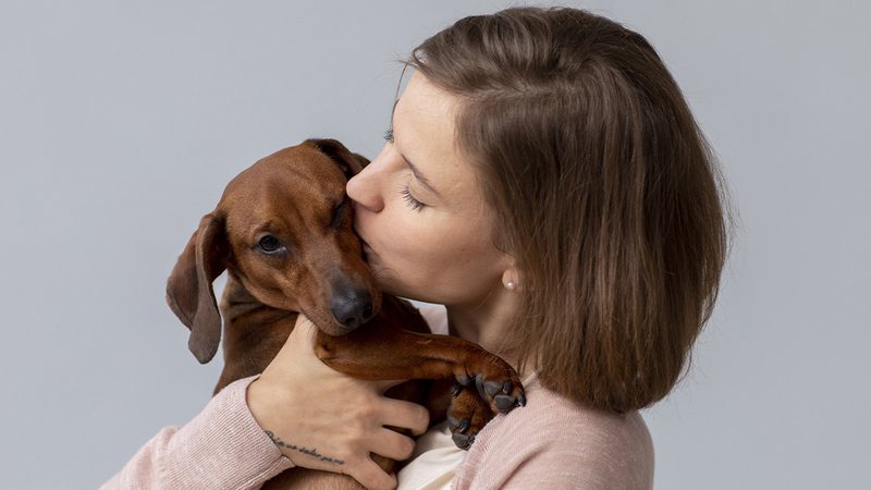 Vacinas, exames e alimentação: dicas para aumentar a expectativa de vida do  seu cachorro