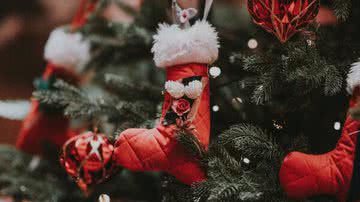 Ana Maria Digital separou cinco dicas rápidas e simples de decorações de Natal para você fazer - Unsplash/Annie Spratt