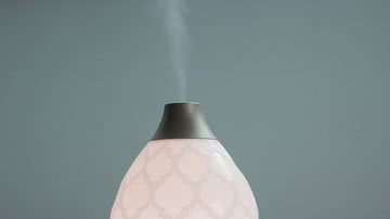 Saiba como usar adequadamente o umidificador de ar em casa e evitar o mofo - Unsplash/Felicia Buitenwerf