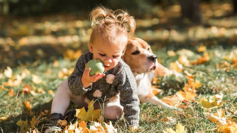 Melhor amigo do homem? conheça as raças de cachorro que não são indicadas para crianças - Foto: Freepik