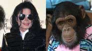 Chimpanzé recebe herança de Michael Jackson? - Reprodução │Redes sociais