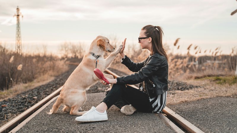 Pesquisas identificam auxilio de cães para tratar ansiedade e outras doenças; saiba mais! - Unsplash/Richard Brutyo