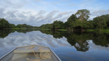 Dia da Amazônia: 3 curiosidades sobre o bioma que você não conhecia - Imagem │Pixabay