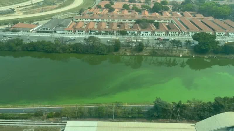 Rio Pinheiros adota tom verde: entenda o que está acontecendo - Internet