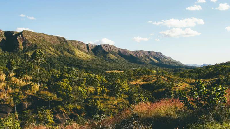 Incêndio de grandes proporções afeta a Chapada dos Veadeiros - Imagem │Unsplash