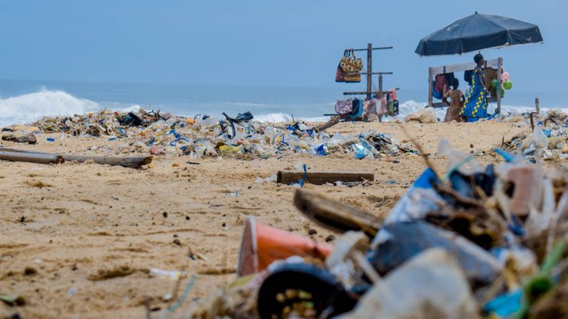 Em 2023, o Instituto Federal de Santa Catarina (IFSC) detectou glitter e microplástico em ostras e mariscos. - Foto: Lucien Wanda/Pexels