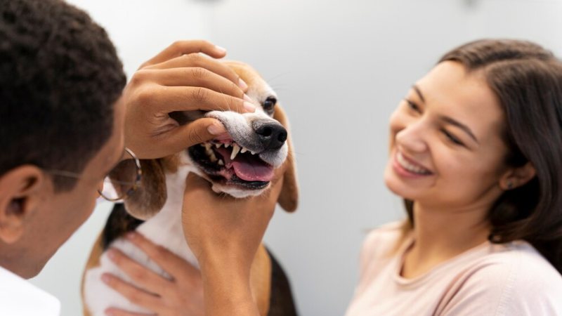 A saúde bucal dos pets vai muito além do mau hálito e pode levar a complicações graves. - Foto: Freepik