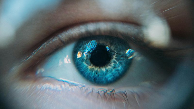 Já pensou em ter olhos azuis? Cirurgia para mudar a cor já existe e custa R$ 70 mil - Ian Fet/Unsplash