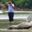 Elefante-marinho resgatada no Guarujá volta ao mar