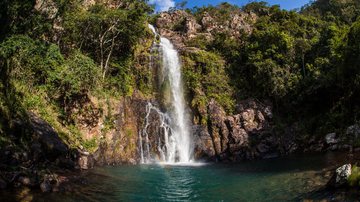 Mato Grosso é o destino ideal para explorar a natureza. - Luciano Queiroz | Shutterstock