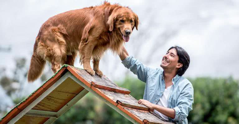 4 profissões para as amantes de cães e gatos - iStock