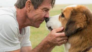 'Quatro Vidas de Um Cachorro' é um filme baseado no livro homônimo de W. Bruce Cameron. - Divulgação