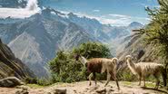 Conheça a beleza dos Andes! - Getty Images