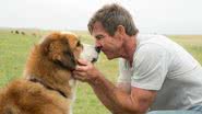 Cena do filme 'A Dog's Purpose' - Divulgação