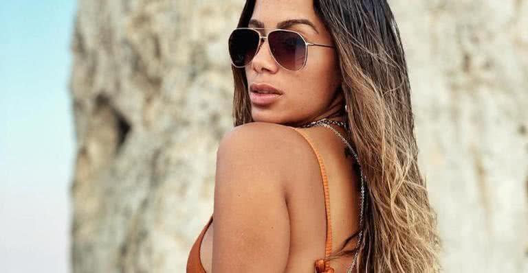 Anitta retorna ao Brasil e adota cachorros - Instagram/@anitta