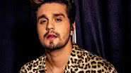 Luan Santana pede respeito aos fãs após polêmicas - Instagram/@luansantana