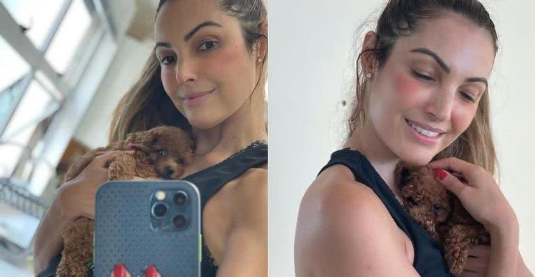Belinha, nova cachorrinha de Patricia Poeta rouba a cena com fofura, ao ser apresentada na web - Instagram / @patriciapoeta