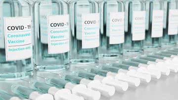 Brasil recebe mais 1,7 milhão de doses de vacina do Covax Facility - Pixabay/torstensimon