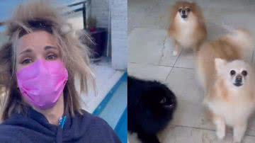 Ana Furtado surge descabelada e cachorrinhos se assustam - Instagram/@aanafurtado