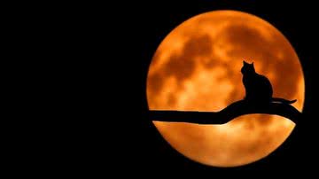 Saiba o que é superstição e verdade sobre a lua cheia - Pixabay/Bessi