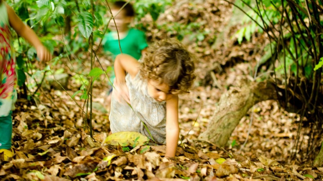 NATUREZA TERRA Educação Ambiental e Ecoturismo