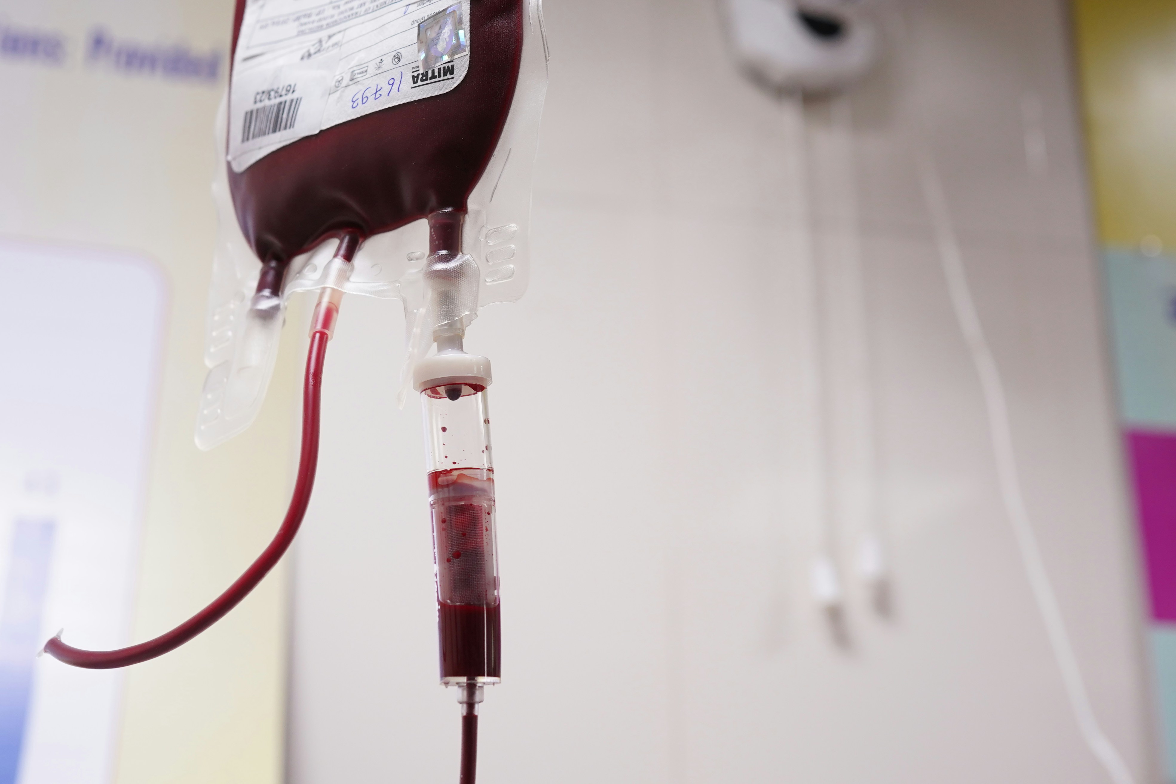 Confira quais os requisitos para doar sangue