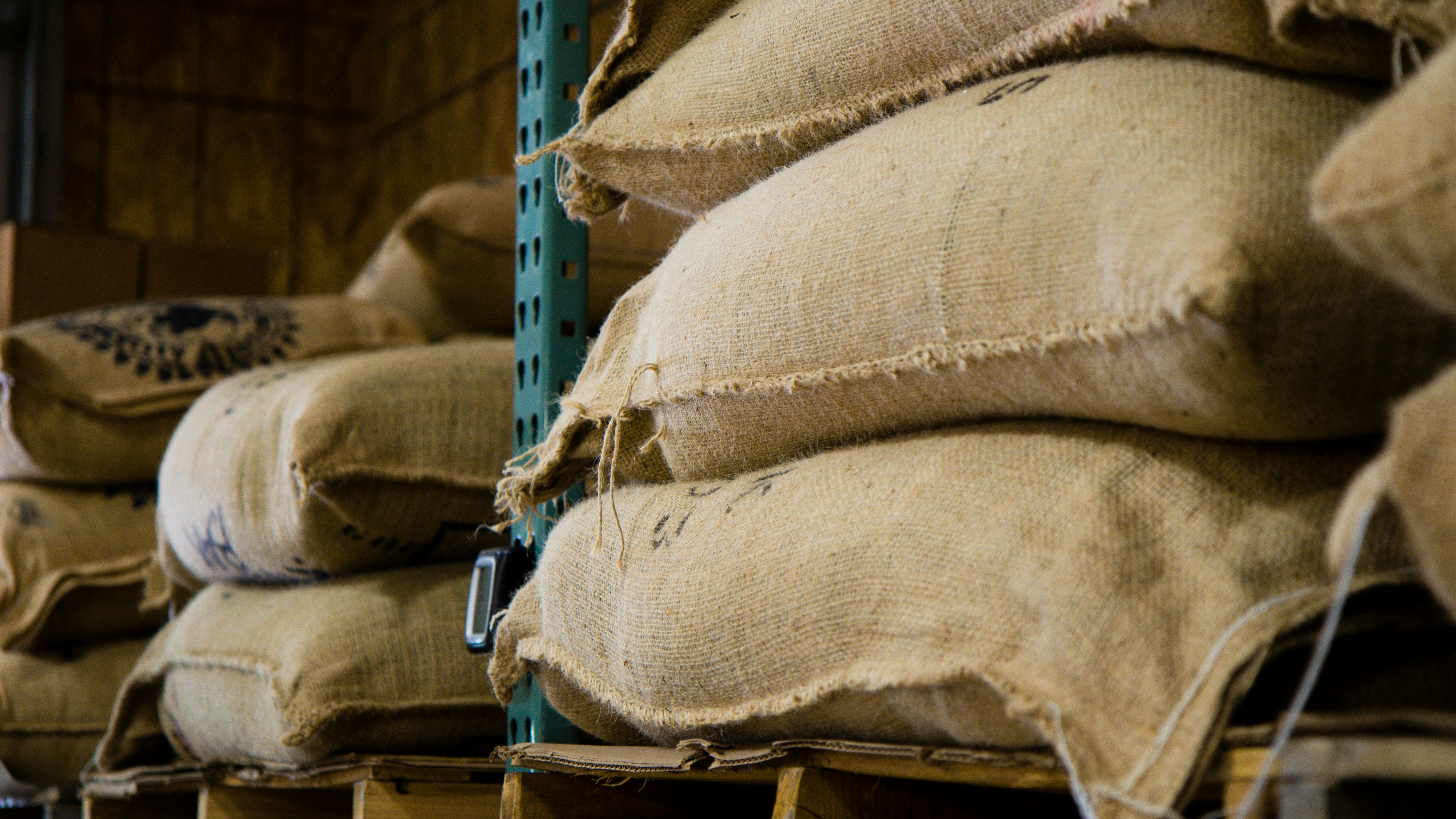 Por que subiu o preço do arroz? Impactos nas safras internacionais influenciam no valor