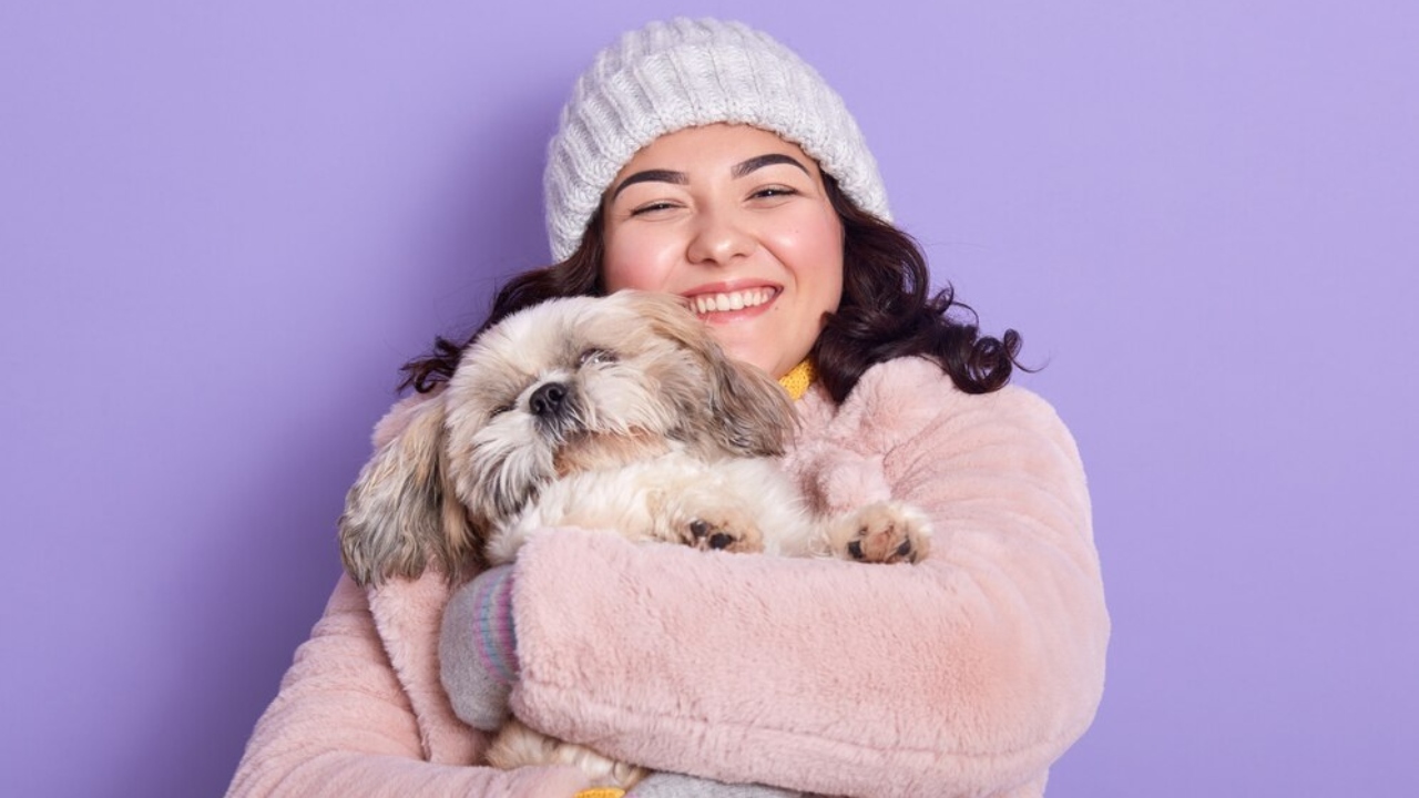 gatos e cachorros sentem frio com os humanos pets no inverno