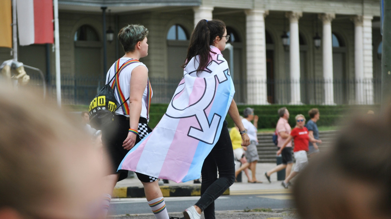 Maya Massafera explica diferença entre os termos trans e travesti