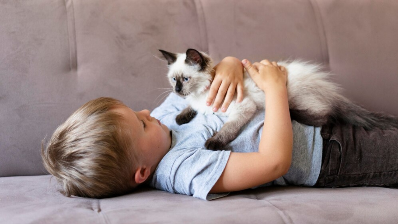 pets e crianças cachorro gato como conviver