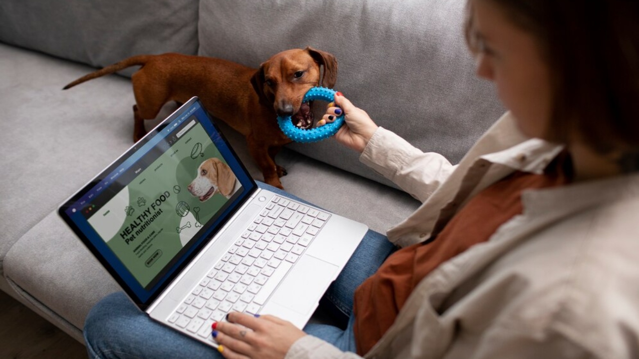 telemedicina veterinária atendimento virtual cães e gatos
