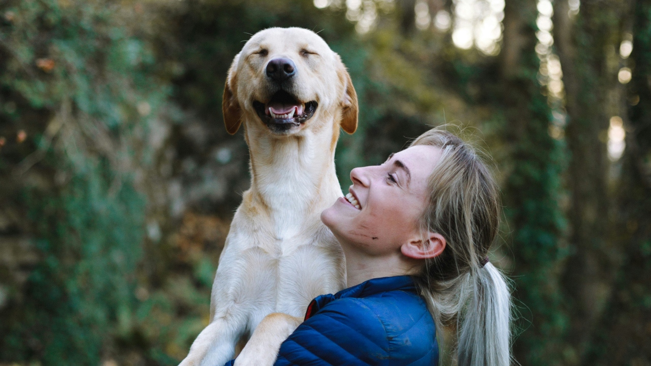 Cães para tratar ansiedade? Veja como os animais podem beneficiar a saúde