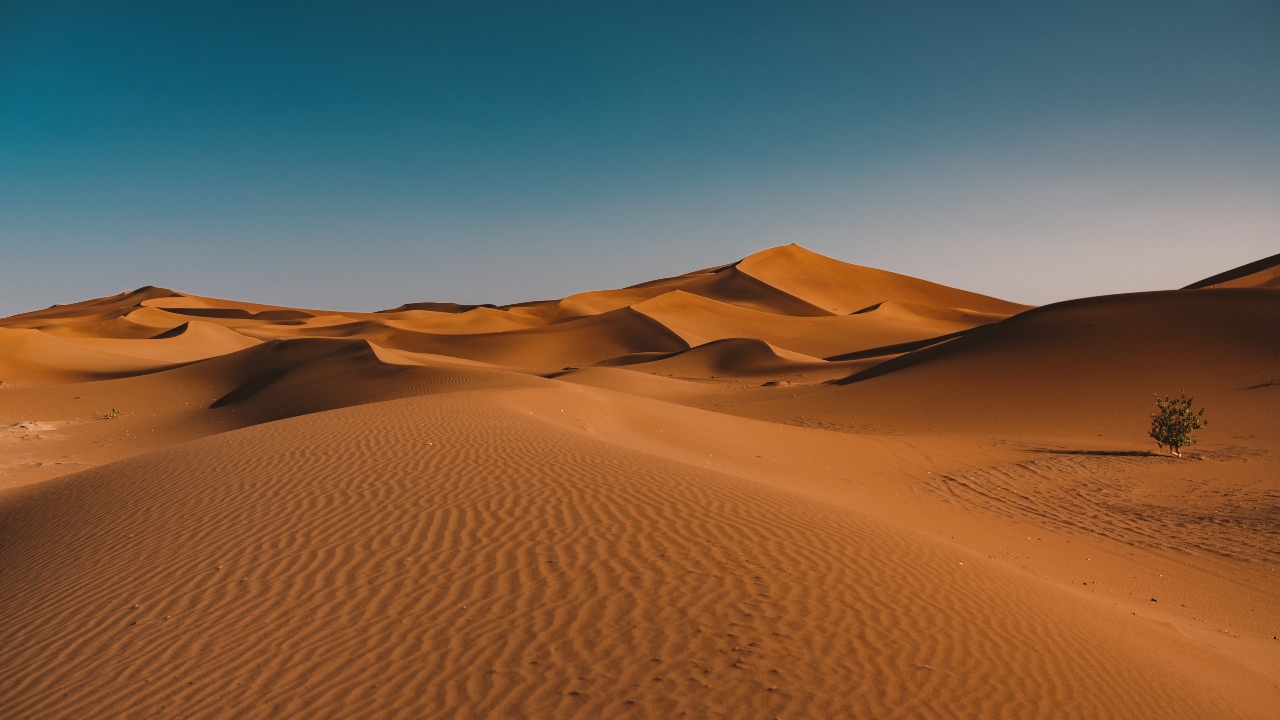 clima desértico baixa umidade do ar deserto do saara