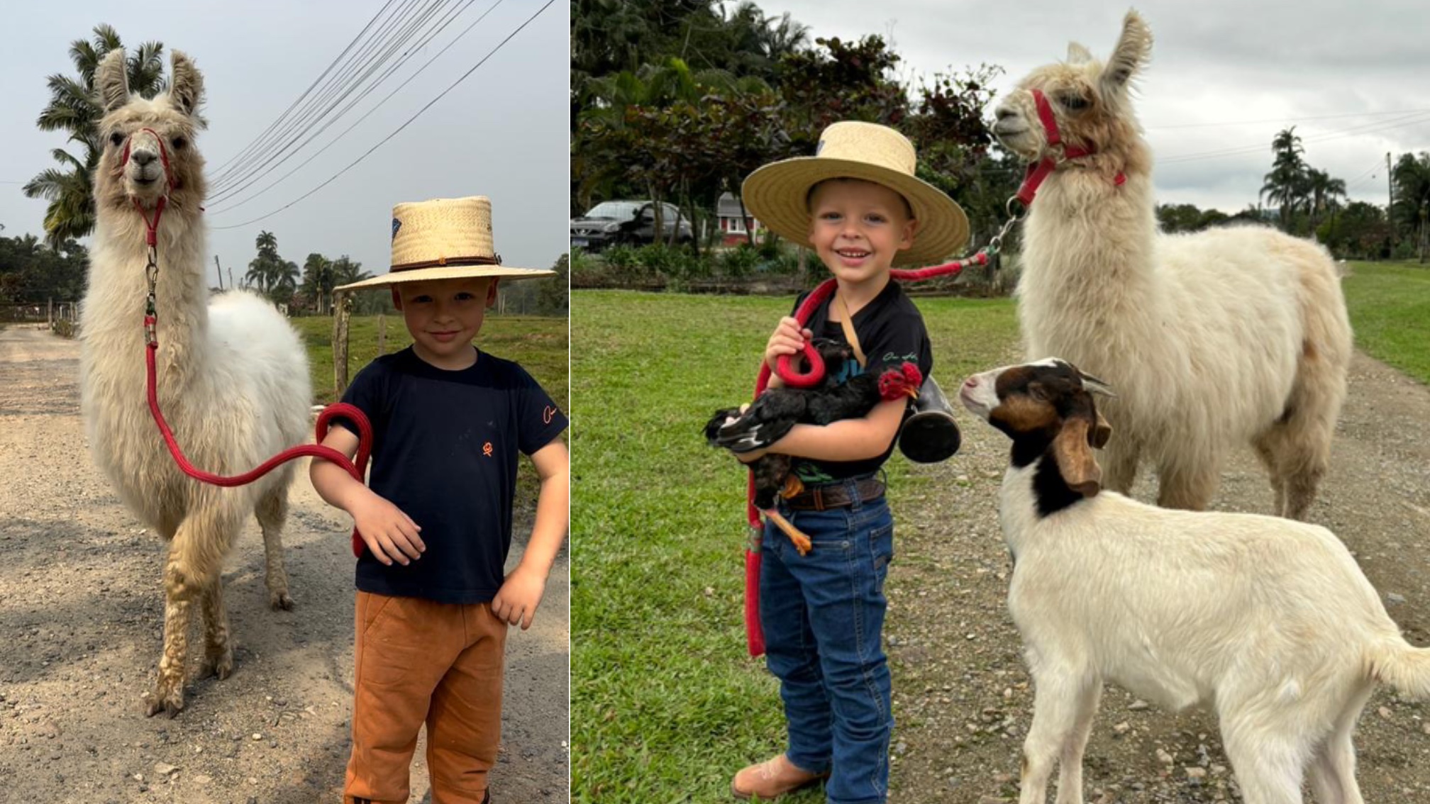 Heitor e sua nova amiguinha