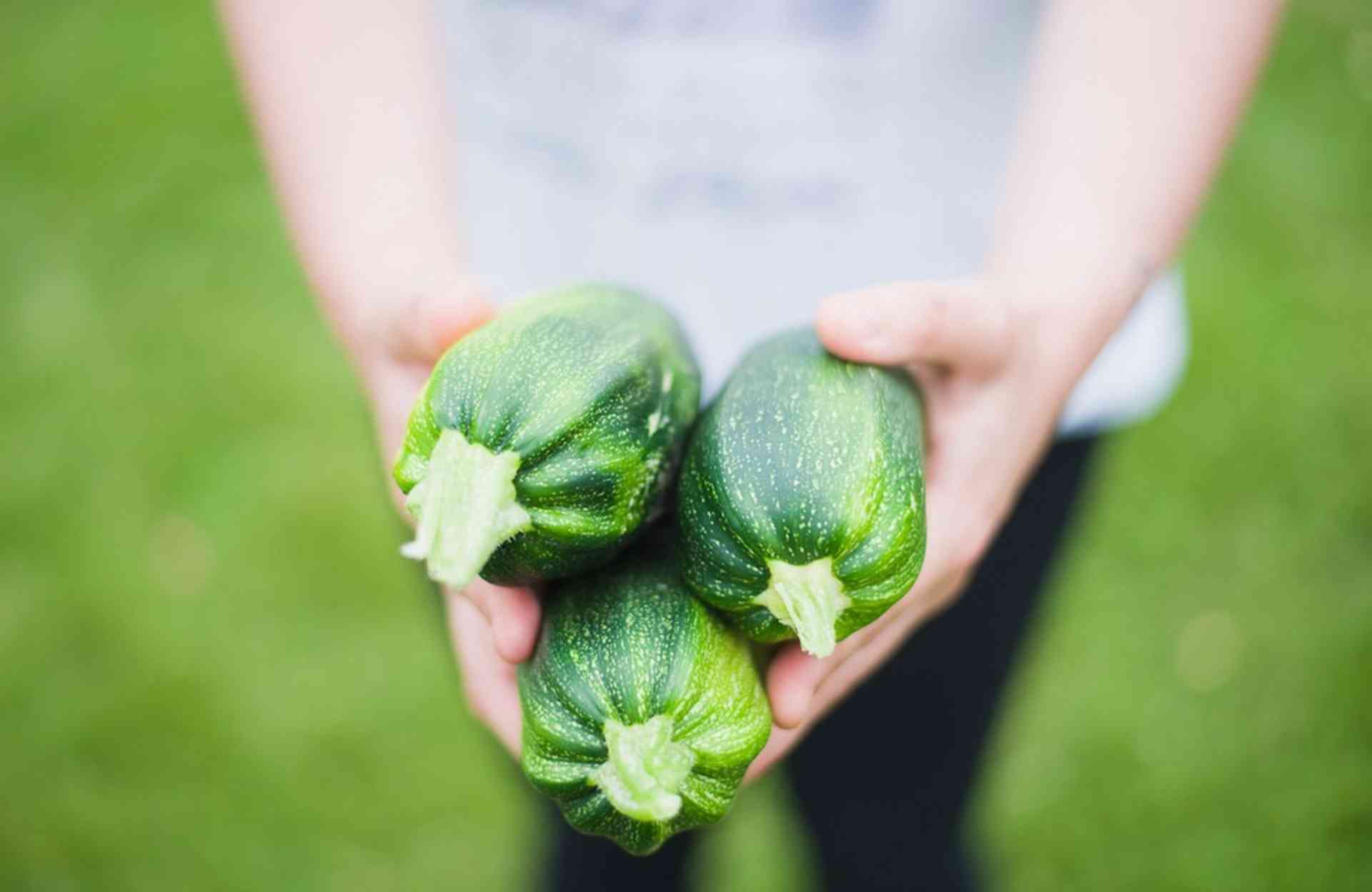 Abobrinha amarga nunca mais! Confira dicas para evitar o amargor do legume