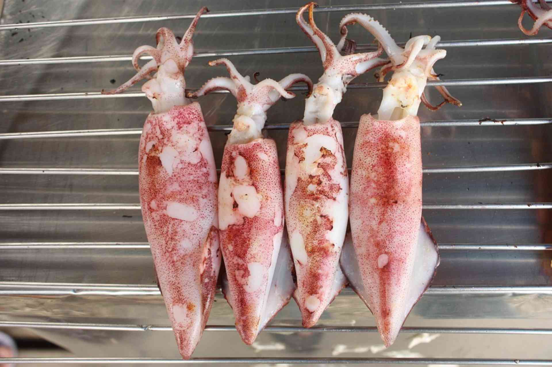 Lulas borrachudas nunca mais. Aprenda a fazer esse molusco.