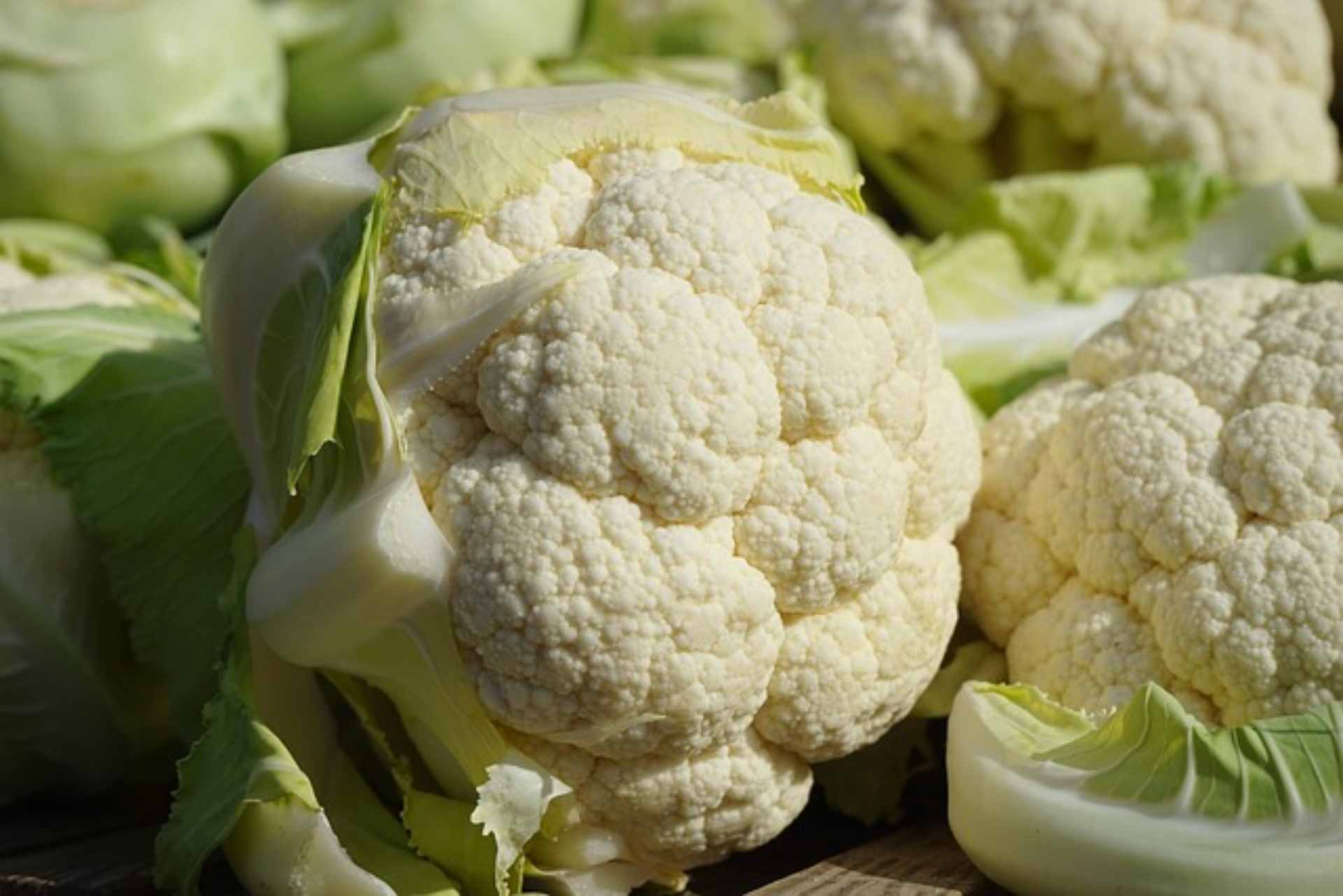 Pode comer couve-flor com pontinhos pretos O que são eles? - Foto: Pixabay