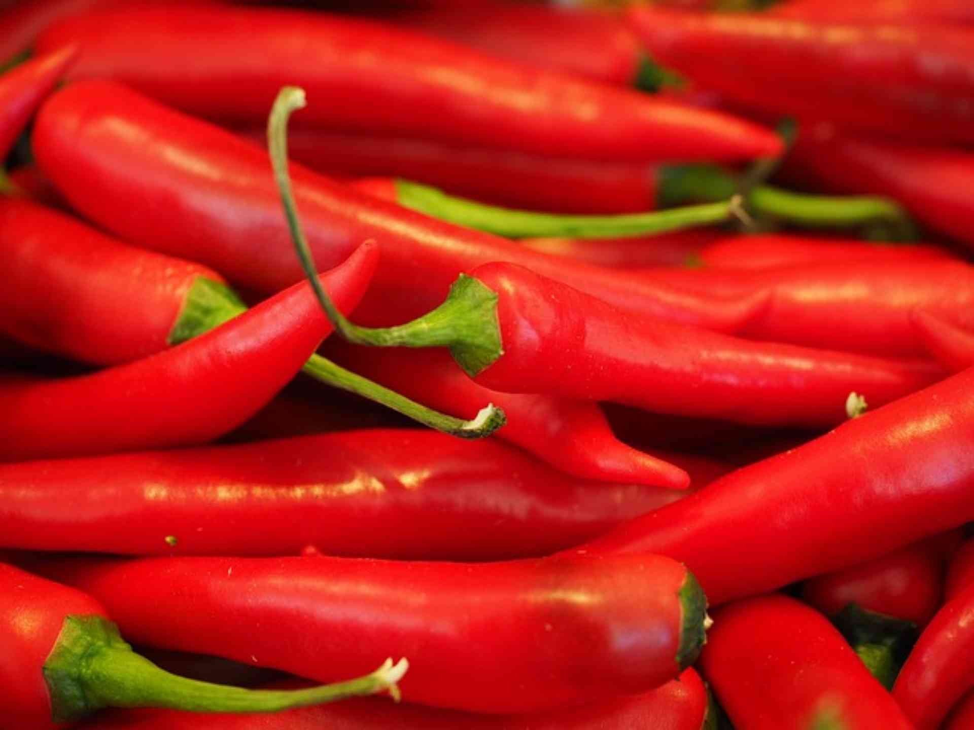 picante