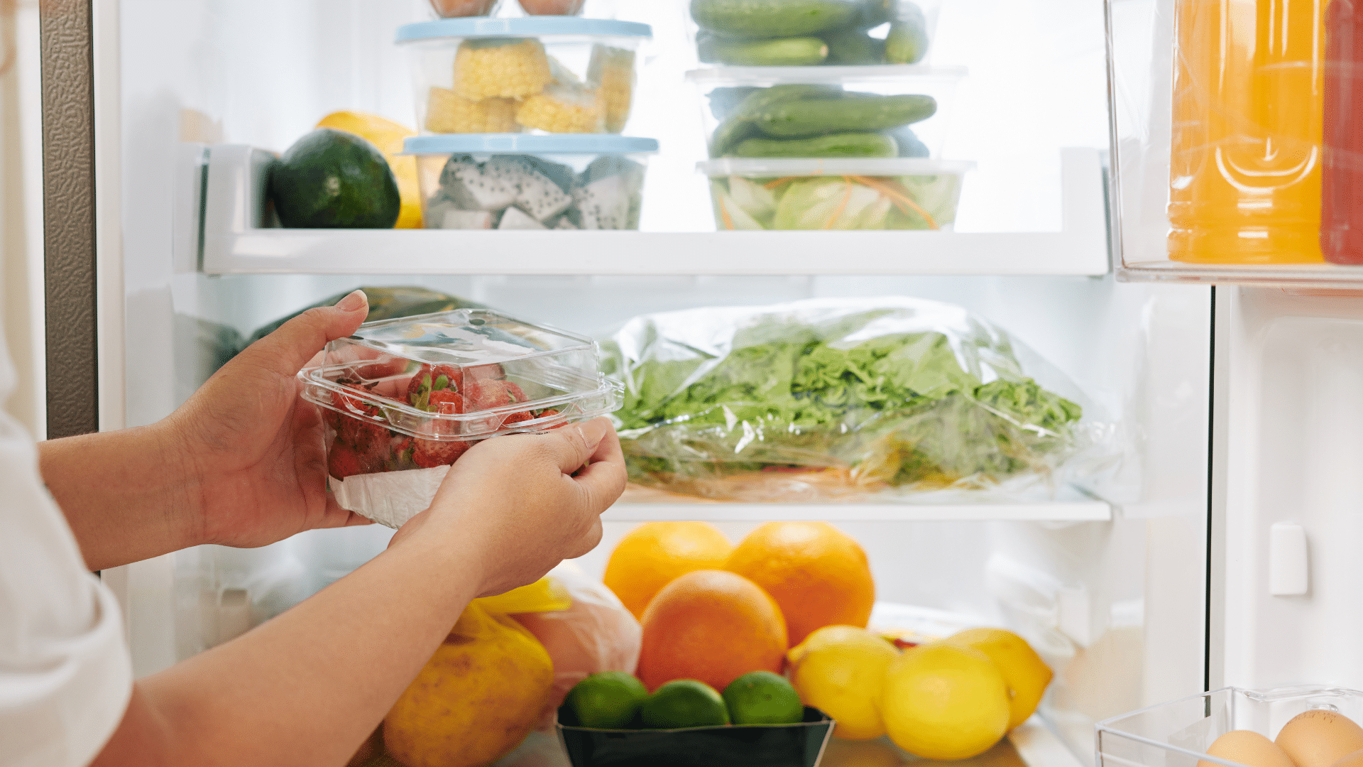 armazenar alimentos