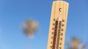 2024 é o ano mais quente da história do Planeta Terra: saiba as consequências disso! (Imagem: Reprodução/freepik)