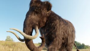 Como eram os mamutes? Confira imagens do fóssil de 50 mil anos encontrado