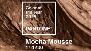 Mocha Mousse: saiba tudo sobre essa que foi eleita a cor do ano para 2025! (Imagem: Reprodução/Redes Sociais)