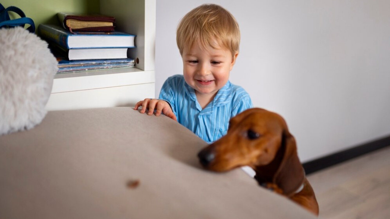 brincadeiras para crianças e cães juntos